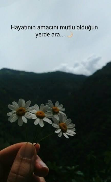 Mutluluk için sebepleriniz her zaman olsun.🌸🌸💖