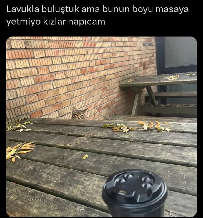 Naparsınız¿