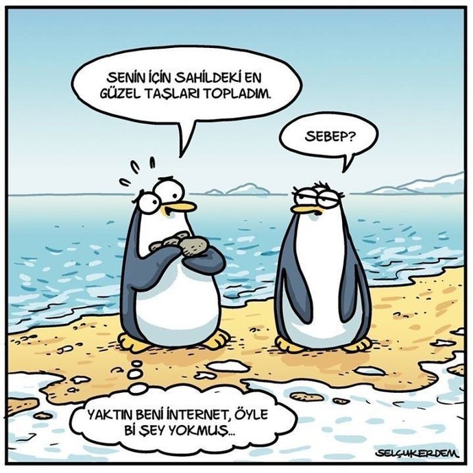 İnternet üzerinden ilişki hakkında verilen tavsiyeleri uygular mısınız?