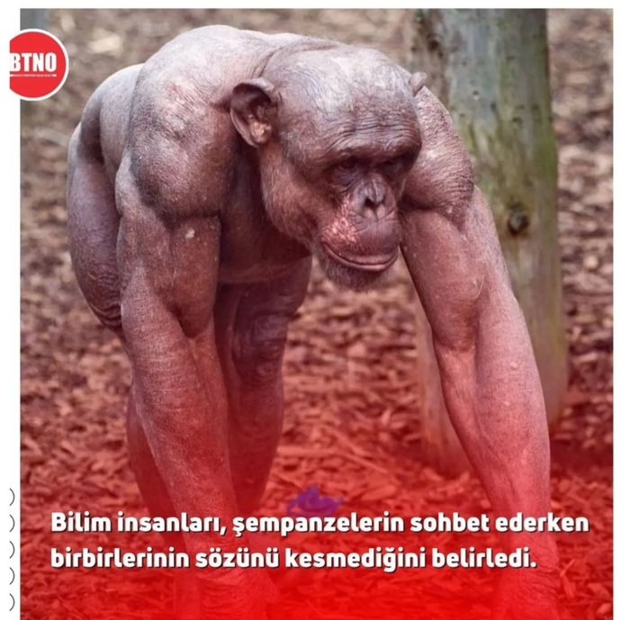 Haberin doğruluğunu bilmiyorum.