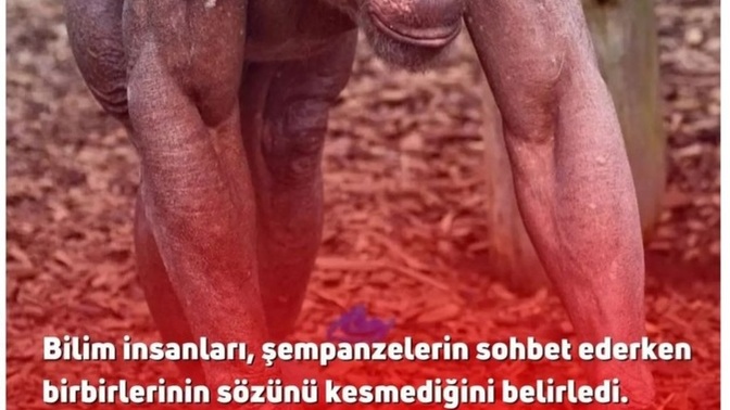 Konuşma esnasında söz kesenlere sinir oluyor musunuz?
