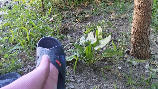 Yeni giydiğiniz çoraplarınız ıslanınca dellenir misiniz 🤣?