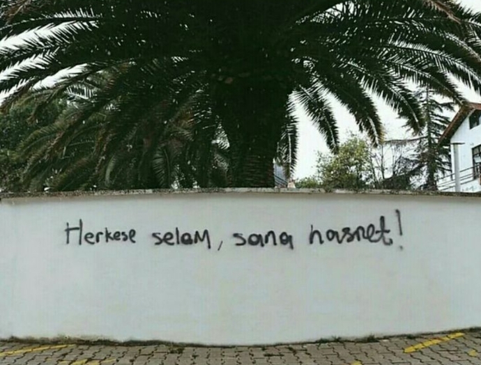 🍃