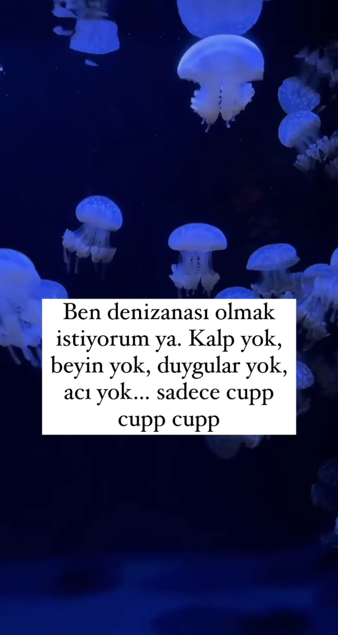 Siz ne olmak isterdiniz?