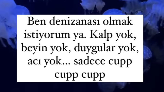 Siz ne olmak isterdiniz?