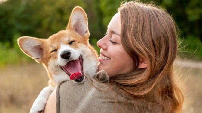 En sevdiğiniz köpek türü nedir?