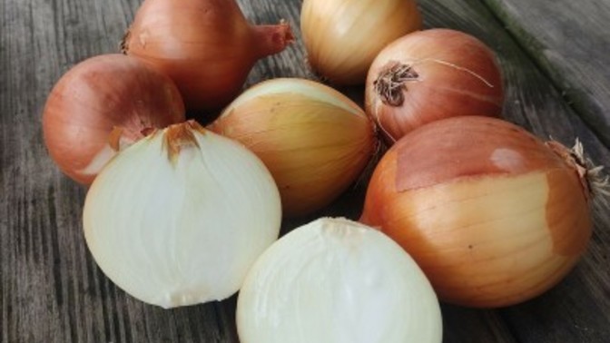 Eşiniz ne yapsa kavga edersiniz?