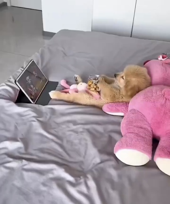 Evde mi yoksa sinemada mı film izlemek daha güzel?