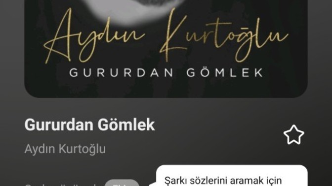 Şarkılarda sevdiğiniz kısımları bekler misiniz yoksa hemen o kısmı mı dinlersiniz?