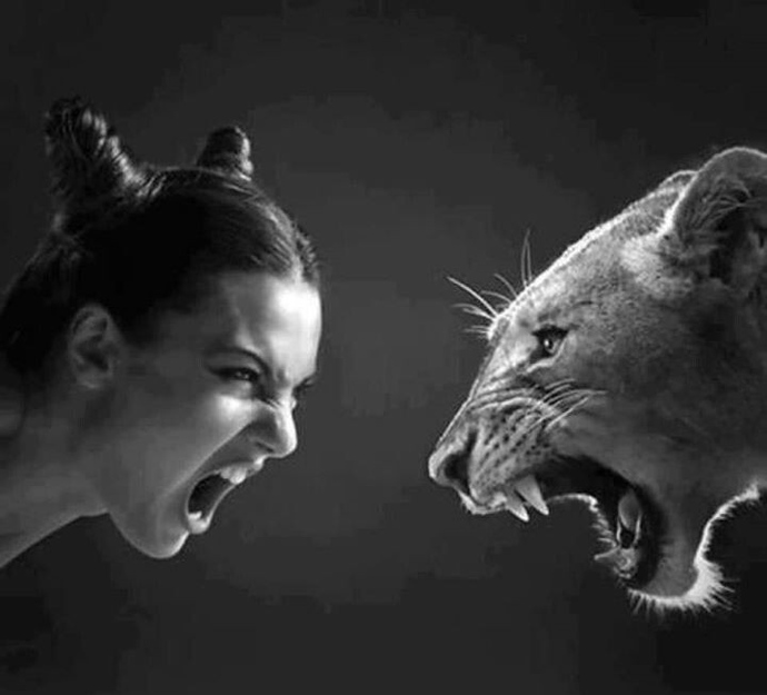 Mırnav mırnav 🐱🐾🐅