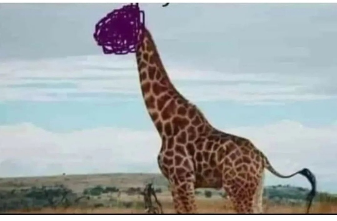 Resimde ortada yüzü görünmeyen hayvanı tahmin edene ödül olarak 1 seans dert dinlerim🤭iyi düşünün.. tahmininiz nedir🤭🤭?