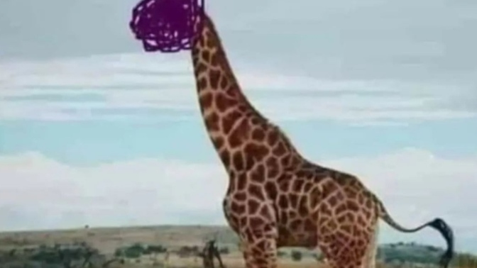 Resimde ortada yüzü görünmeyen hayvanı tahmin edene ödül olarak 1 seans dert dinlerim🤭iyi düşünün.. tahmininiz nedir🤭🤭?