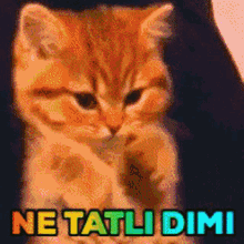 Seç beğen al hangilerini beğendin?