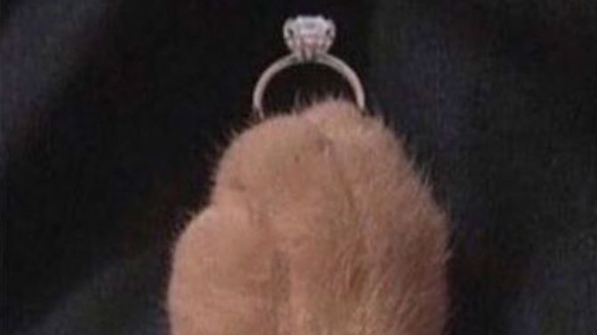 “Meow me” demek istediğiniz biri var mı?