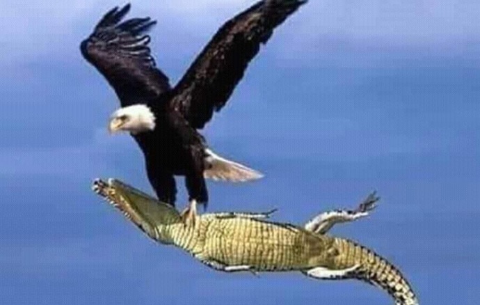 Hiç İmkansızı başardın mı?