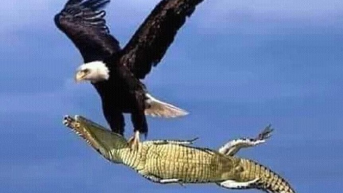 Hiç İmkansızı başardın mı?