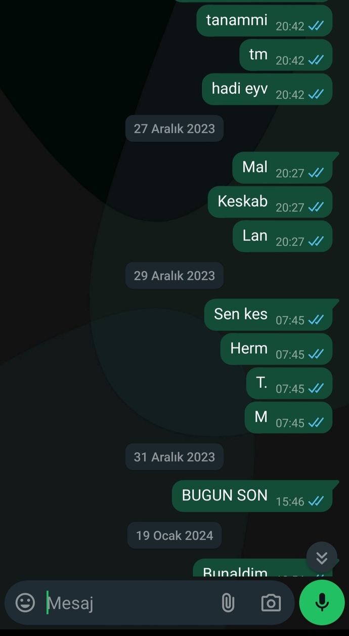 Whatsapptan kendinize mesaj atar misiniz?