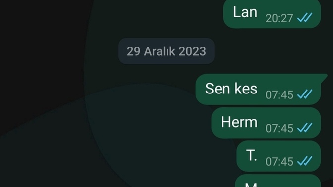Whatsapptan kendinize mesaj atar misiniz?