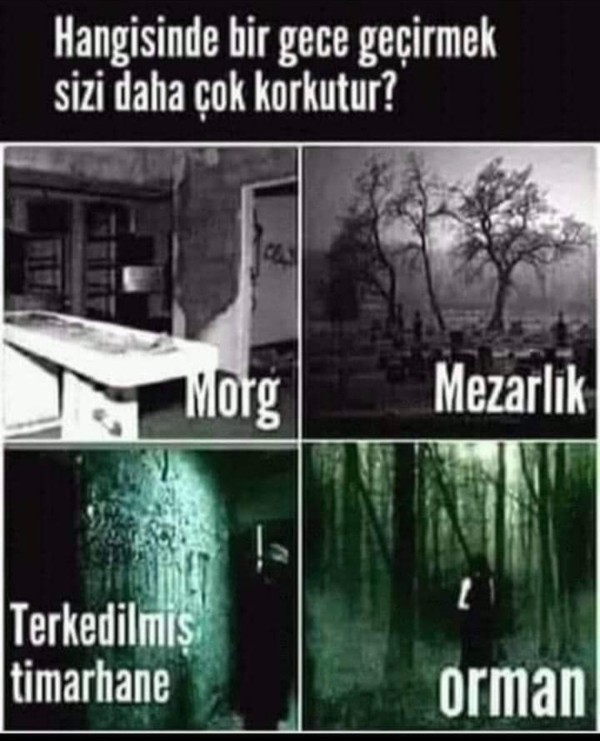Hangisinde bir gece geçirmek sizi daha çok korkutur?