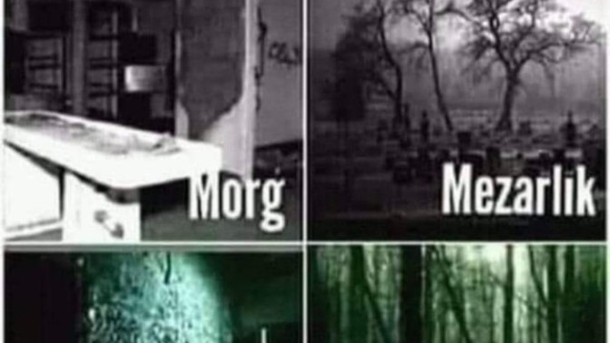 Hangisinde bir gece geçirmek sizi daha çok korkutur?