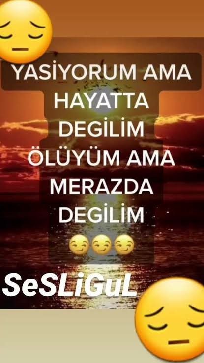 Sen Ne Haldesin?