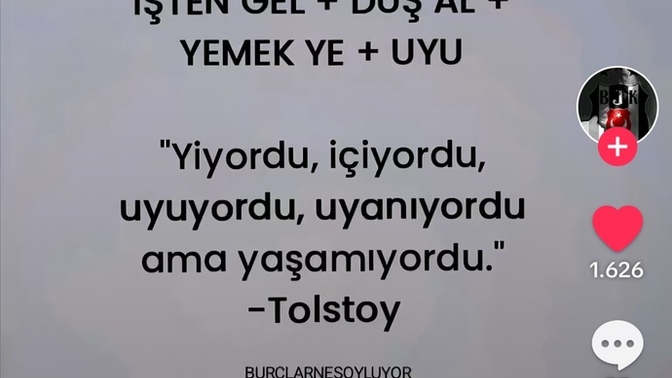 Sen Ne Haldesin?