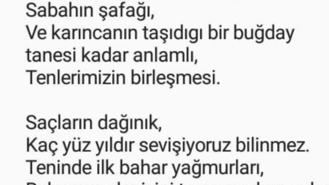 Şöyle bir şey yazan arkadaşta biraz da olsa sapıklık var mıdır sizce?