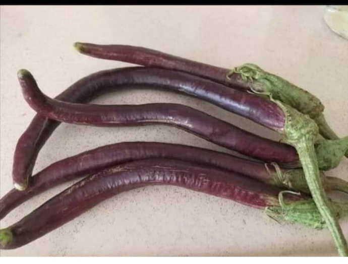 Akşama bu patlıcanlarla güzel bir karnıyarık yapayım tüm apartmanı çağırayım diyorum doyarlar mı?🤭🤭?