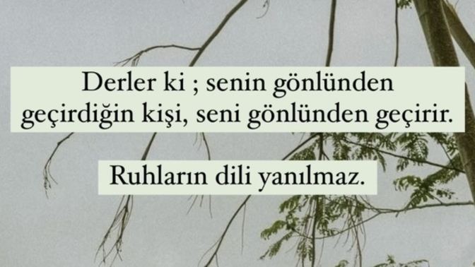Her daim gönlünüzden geçirdiğiniz biri var mı?