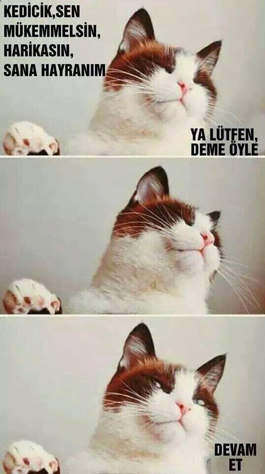 İçgüdüleri her zaman haklı çıkanlardan mısınız?