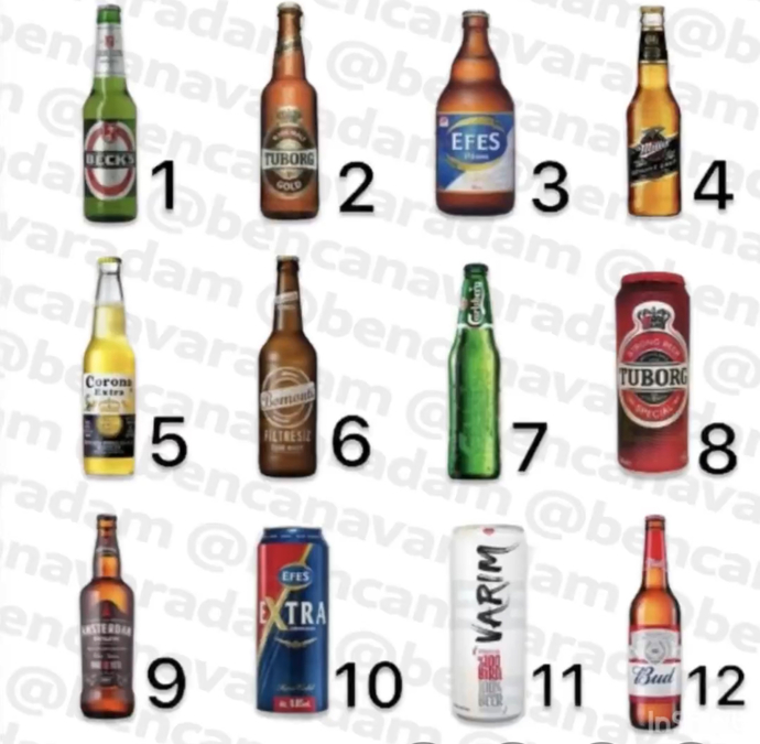 Hangi bira favoriniz?