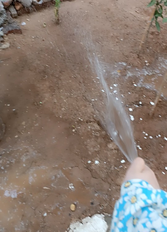 Bahçe işlerini sever misiniz?