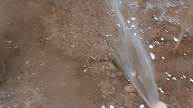 Bahçe işlerini sever misiniz?