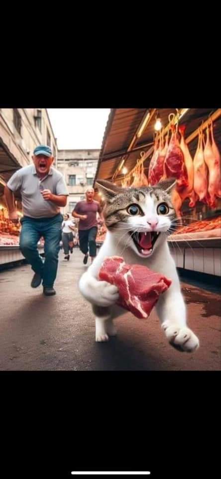 Bu gıda fiyatlarındaki artış ne olacak böyle, hergün bir şeye zam gelir oldu?