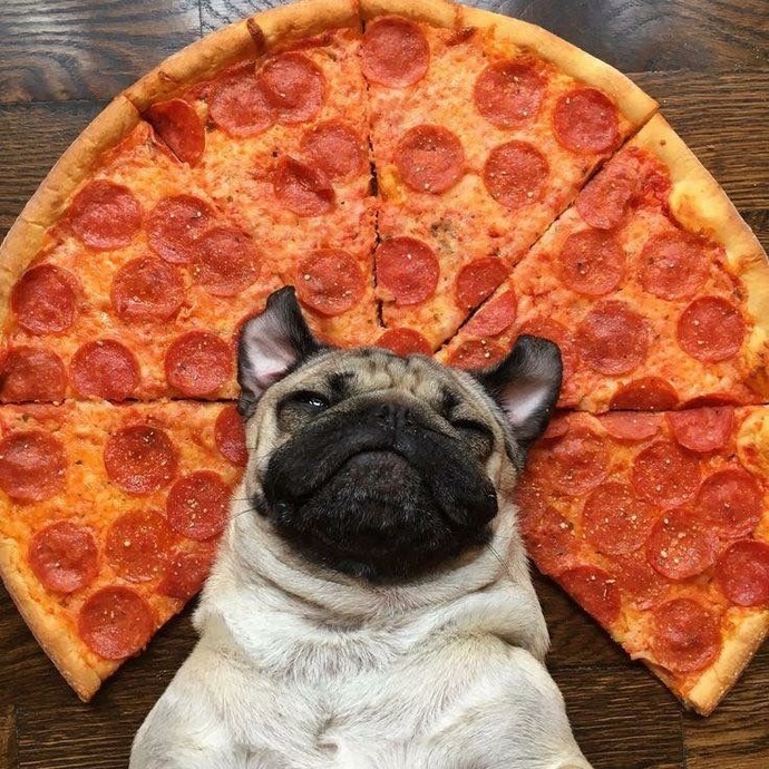 Pizzayı kendiniz mi yaparsınız yoksa sipariş mi verirsiniz?