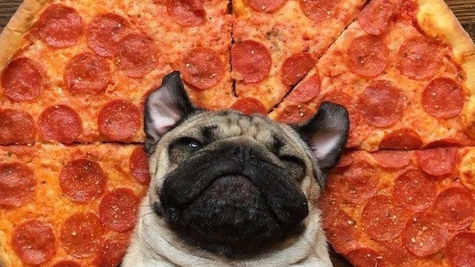 Pizzayı kendiniz mi yaparsınız yoksa sipariş mi verirsiniz?