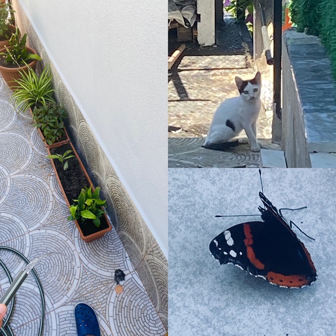Bağ bahçe işlerini seviyor musunuz?