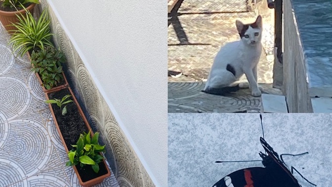 Bağ bahçe işlerini seviyor musunuz?