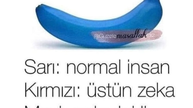 Gözlerim iyidir diyen gelsin göz testi yapacam, ben sarı görüyorum ya siz? ilginç 🤔?