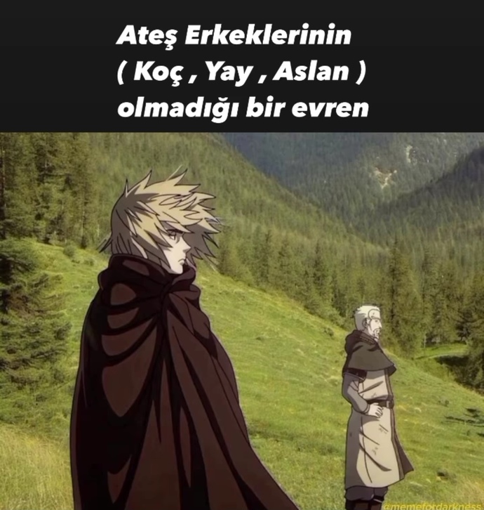 Bir erkek yakışıklı, zeki ve şurası yüksek ise genelde hangi burç oluyor?