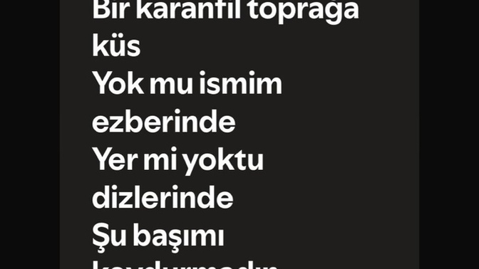 Yer mi yoktu dizlerinde, Şu başımı koydurmadın?