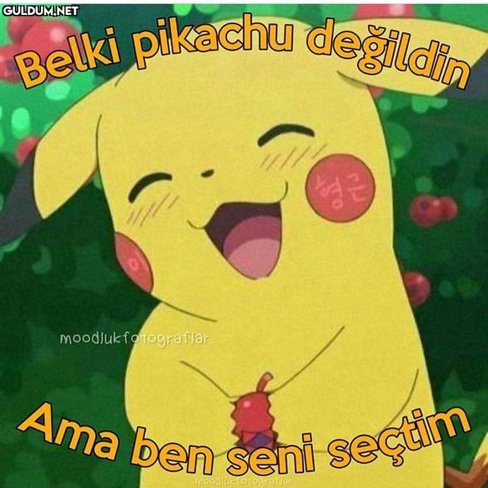Adriana mı Angelina mı?