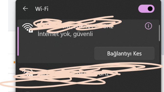 Yav bilgisayarda internet var ama yok diyoya bi yardım edin?