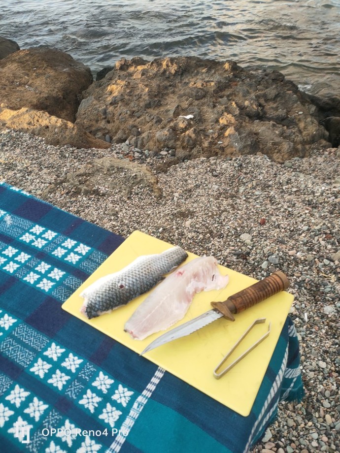 Soslu floto gece balık yemeye devam var mı böyle zevklerinin peşinden koşan?