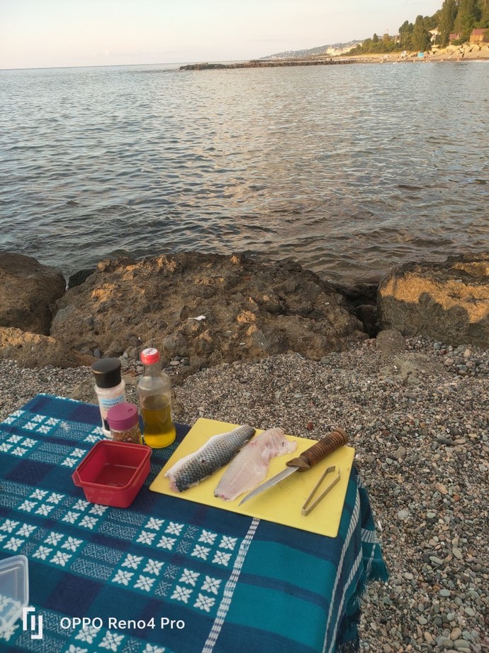 Soslu floto gece balık yemeye devam var mı böyle zevklerinin peşinden koşan?