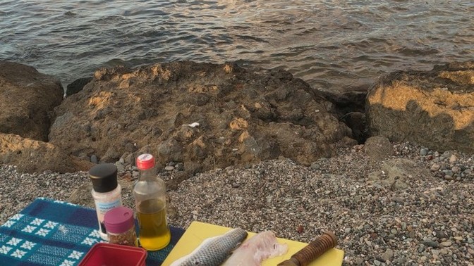 Soslu floto gece balık yemeye devam var mı böyle zevklerinin peşinden koşan?