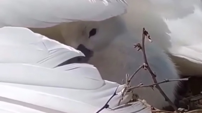 En çok huzur bulduğunuz yer neresidir?
