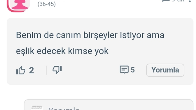 Böyle şeyler yazan söyleyen birini mi ister erkekler?