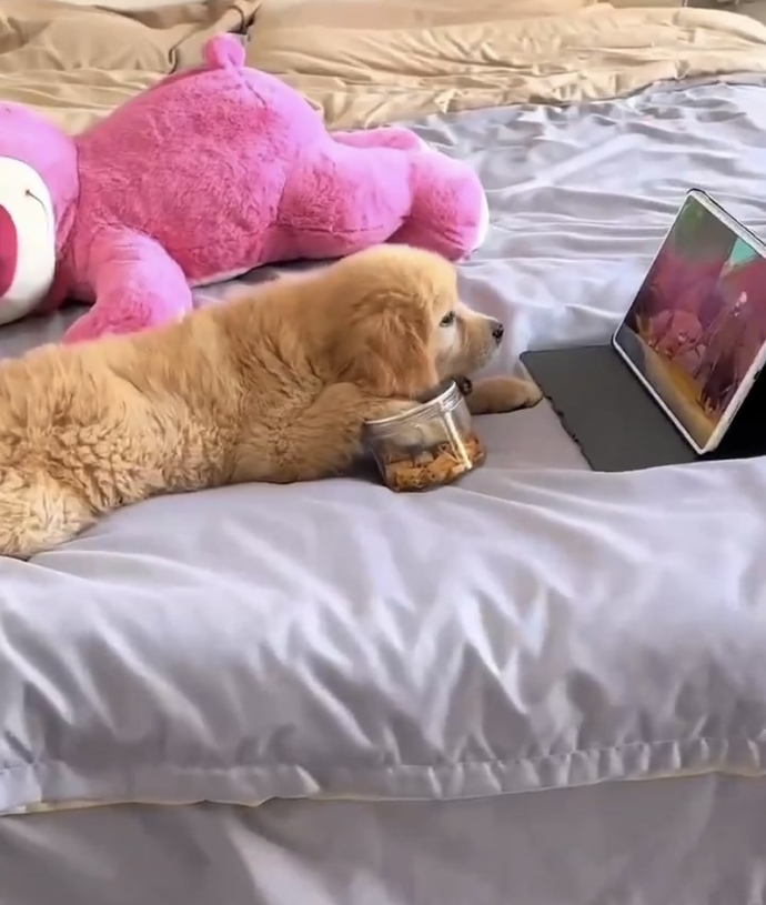 Benim bundanım olsaydı 💕