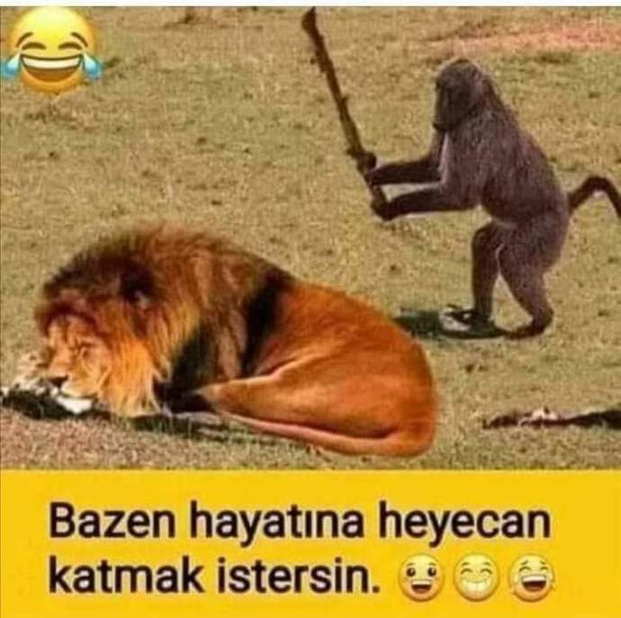 Siz %kaç çılgınsınız?